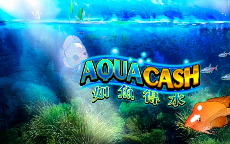 Take your money in Aqua Cash game at Babu88.