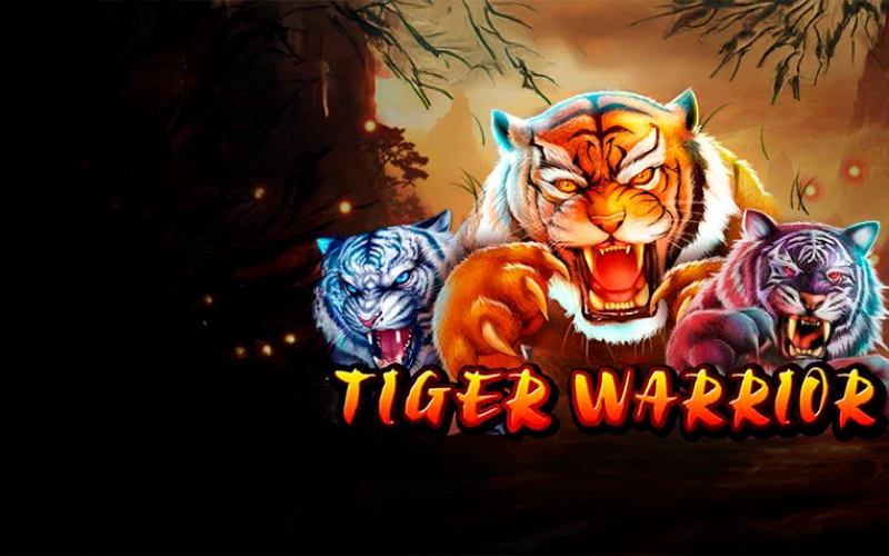 It's time for Tiger Warrior slot game at Babu88.